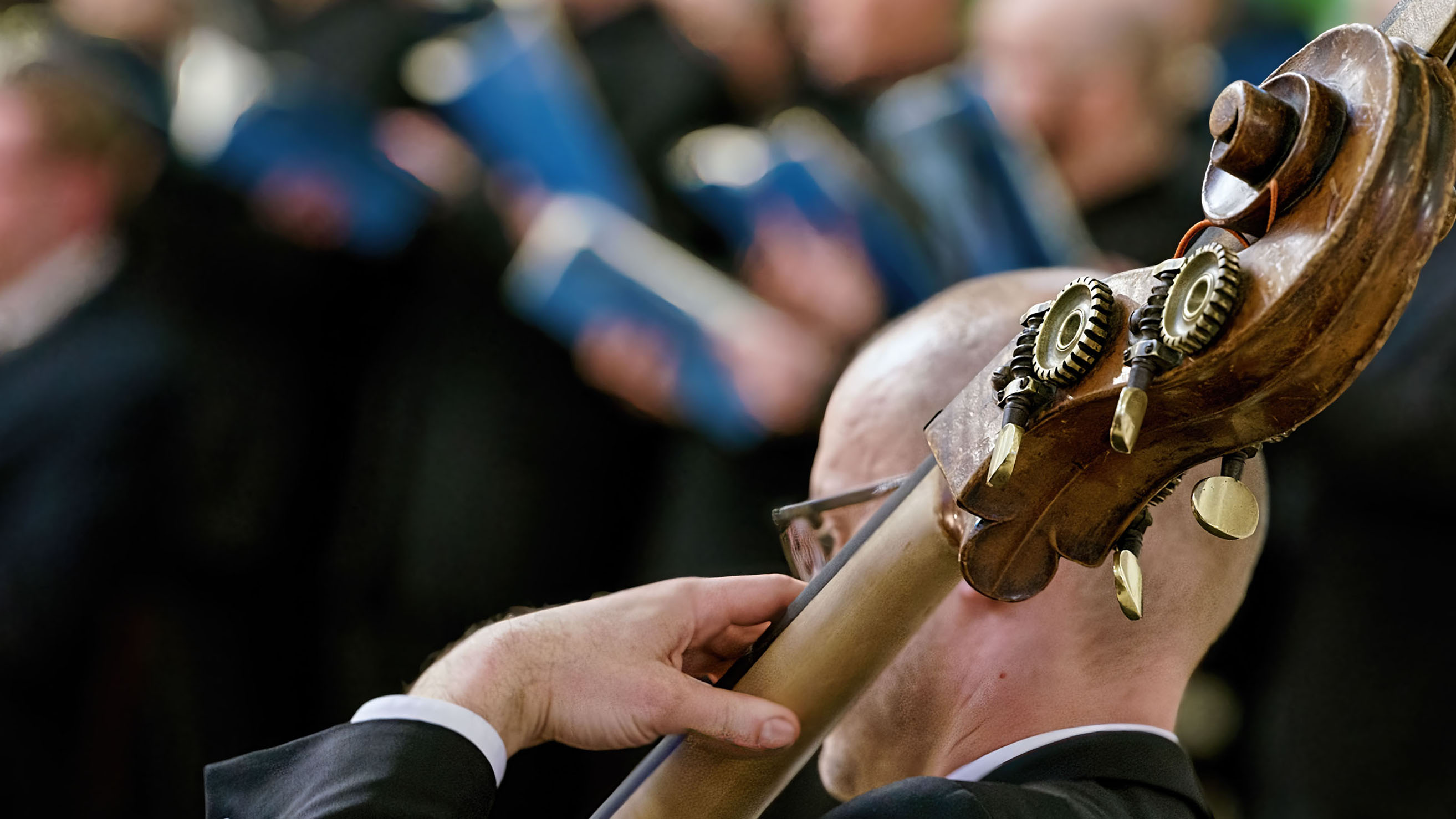 Kontrabasson soittaja